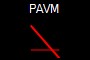 PAVM